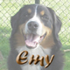 Ga naar de pagina van Emy