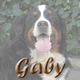 Ga naar de pagina van Gaby