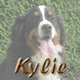 Ga naar de pagina van Kylie