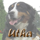 Ga naar de pagina van Utha