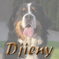 Nakomelingen van Djieny