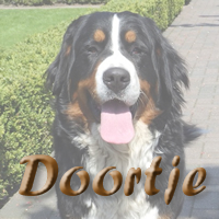 Bekijk de nakomelingen van Doortje