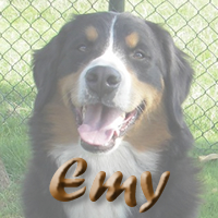 Nakomelingen van Emy