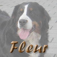 Nakomelingen van Fleur