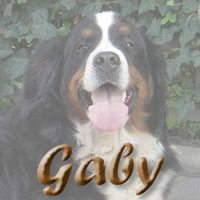 Nakomelingen van Gaby