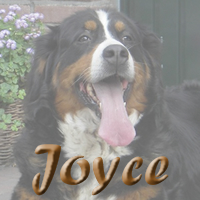 Nakomelingen van Joyce