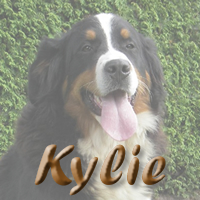 Nakomelingen van Kylie