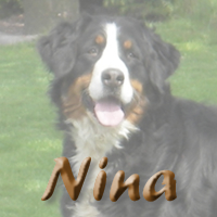 Nakomelingen van Nina