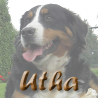 Nakomelingen van Utha