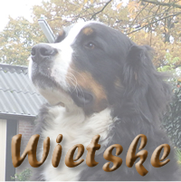 Bekijk de nakomelingen van Wietske